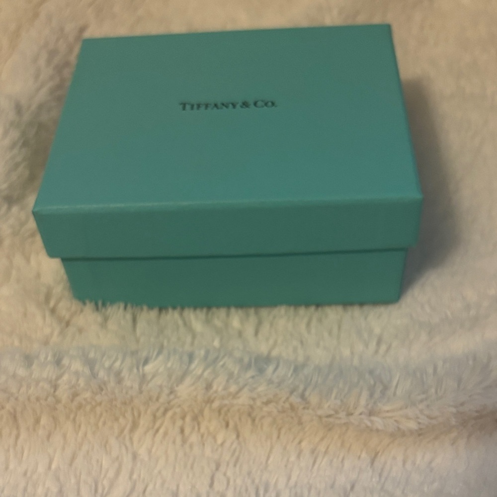 Tiffany & Co. Turquoise Box